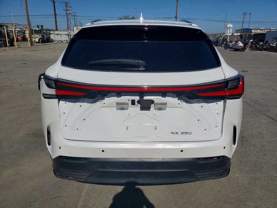 Продаж на аукціоні авто 2025 Lexus Nx 250, vin: JTJADCAZ6S5024491, номер лоту: 53434936