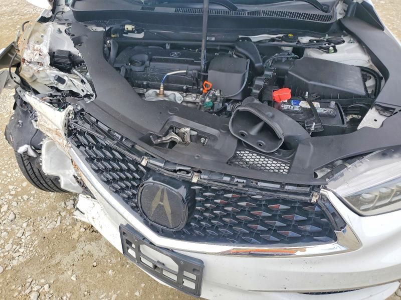 Продажа на аукционе авто 2020 Acura Tlx, vin: 19UUB1F57LA008830, номер лота: 55745056