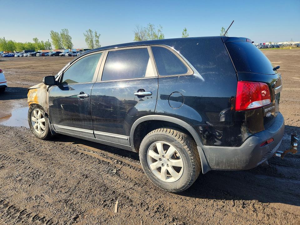Продаж на аукціоні авто 2011 Kia Sorento, vin: 5XYKT3A1XBG092515, номер лоту: 54813316