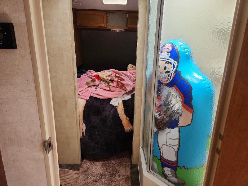 52943886 :رقم المزاد ، 4YDT29326EG103203 vin ، 2014 Keystone Springdale مزاد بيع