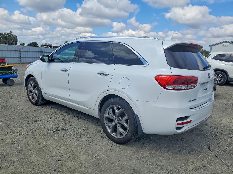 53555006 :رقم المزاد ، 5XYPKDA12GG029981 vin ، 2016 Kia Sorento مزاد بيع
