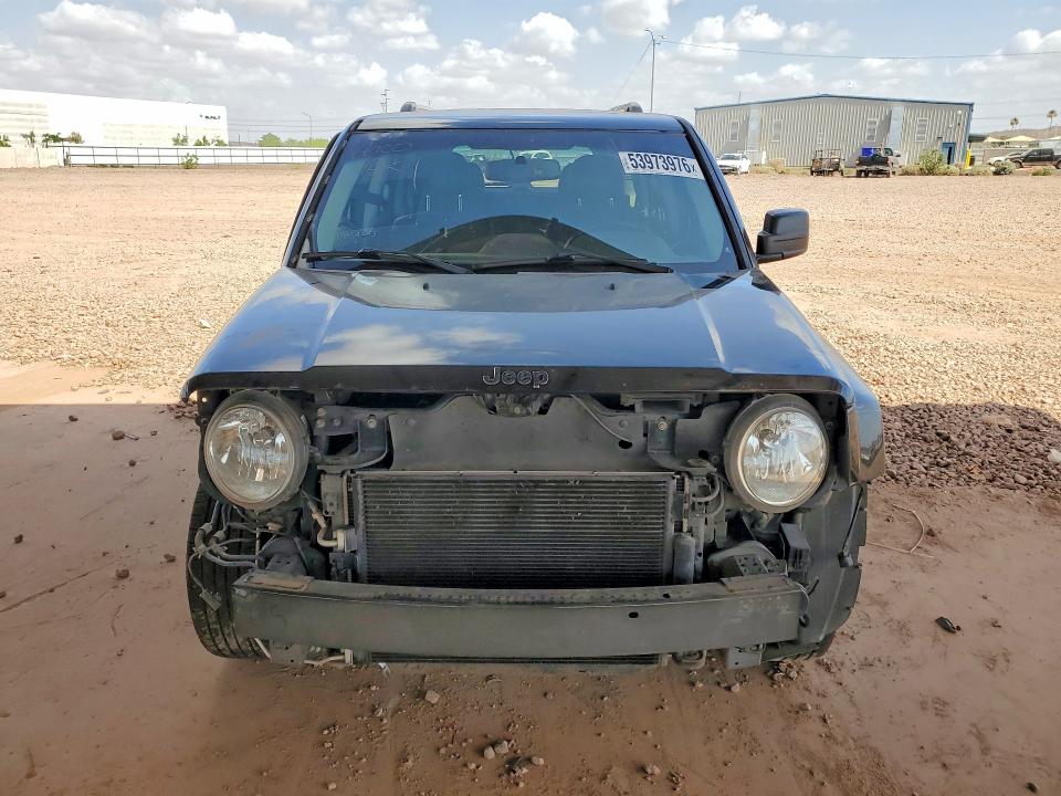53973976 :رقم المزاد ، 1C4NJPFA4GD810245 vin ، 2016 Jeep Patriot مزاد بيع