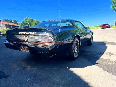 Продаж на аукціоні авто 1981 Pontiac Firebird, vin: 1G2AW87W5BL105229, номер лоту: 52780396