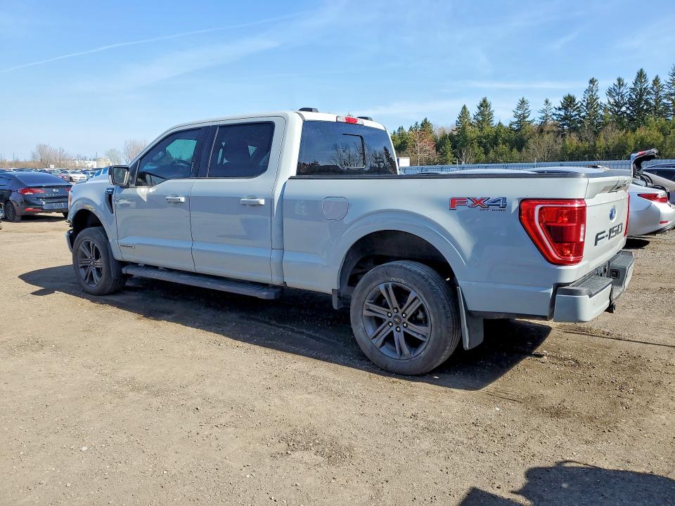 Aukcja sprzedaży 2023 Ford F150, vin: 1FTFW1ED4PFA67539, numer aukcji: 51128566