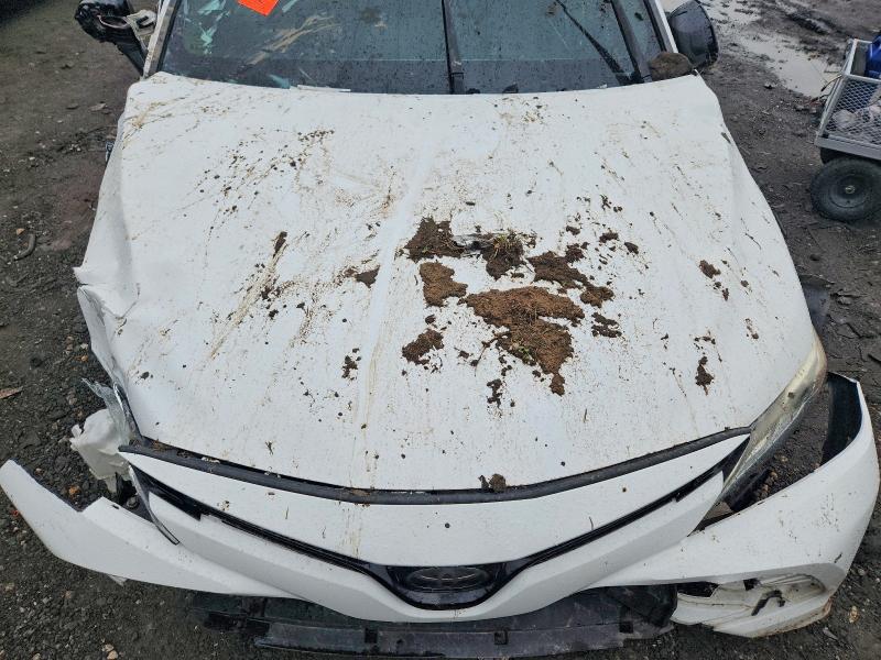 55253776 :رقم المزاد ، 4T1B11HK9KU767791 vin ، 2019 Toyota Camry مزاد بيع
