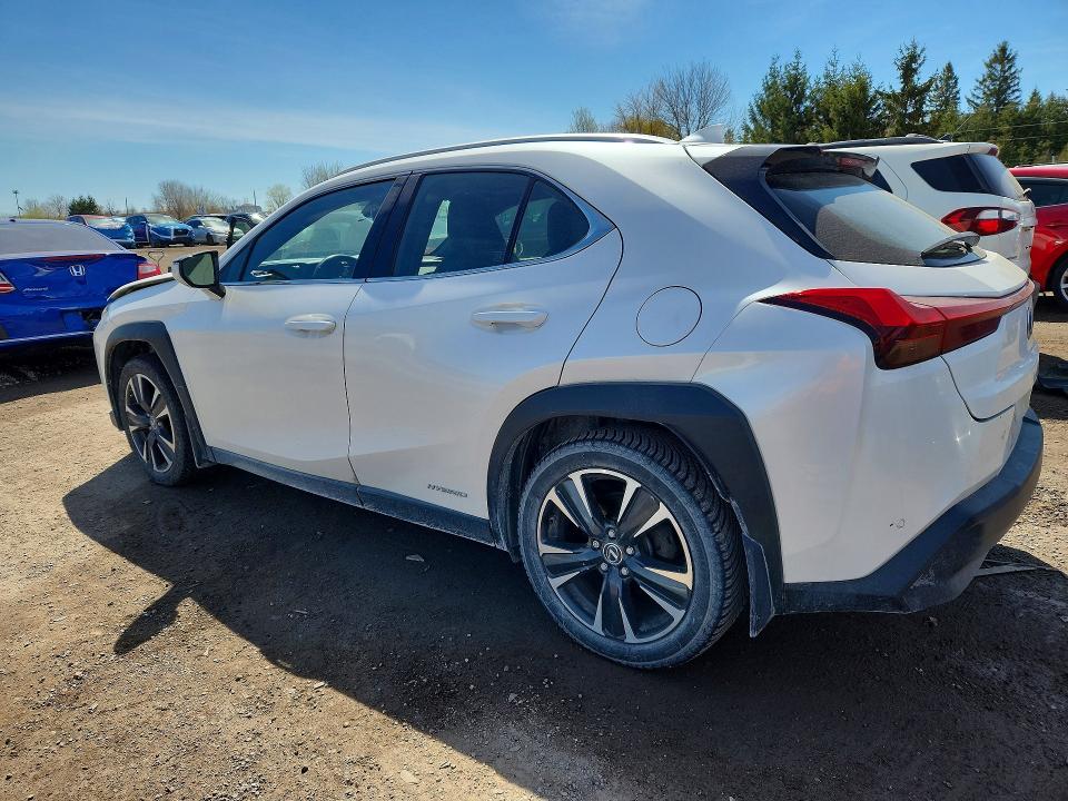 51689866 :رقم المزاد ، JTHL9JBH0M2042690 vin ، 2021 Lexus Ux مزاد بيع