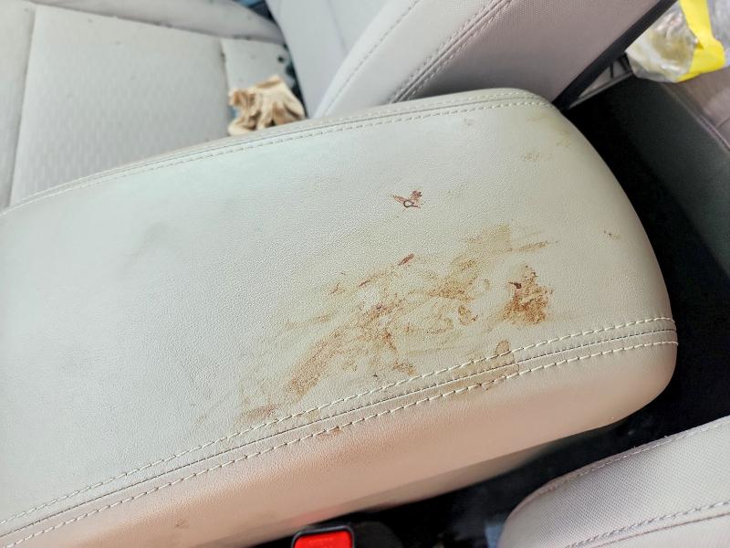 2019 Hyundai Tucson მანქანა იყიდება აუქციონზე, vin: KM8J33AL0KU902306, აუქციონის ნომერი: 55209706