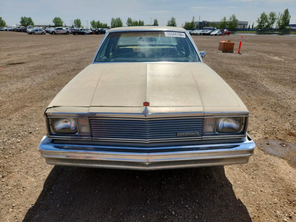Продаж на аукціоні авто 1981 Chevrolet Malibu, vin: 2G1AW69J5B1437073, номер лоту: 55044156