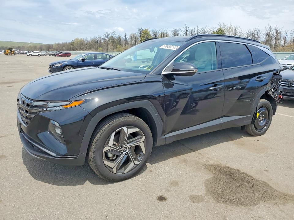 Продажа на аукционе авто 2024 Hyundai Tucson, vin: 5NMJECDE6RH396607, номер лота: 53653276