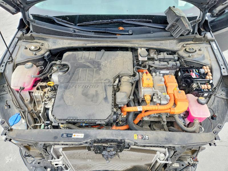 Auction sale of the 2023 Hyundai Elantra, vin: KMHLN4AJ7PU052883, lot number: 53909526