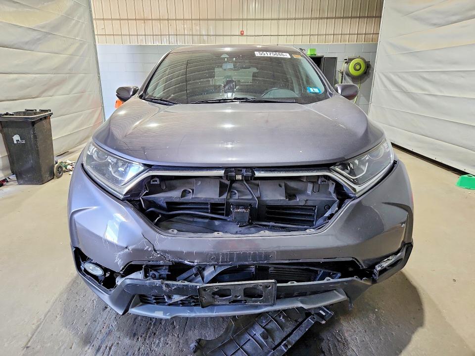 Продаж на аукціоні авто 2019 Honda Cr-v, vin: 5J6RW2H84KL011008, номер лоту: 55175886