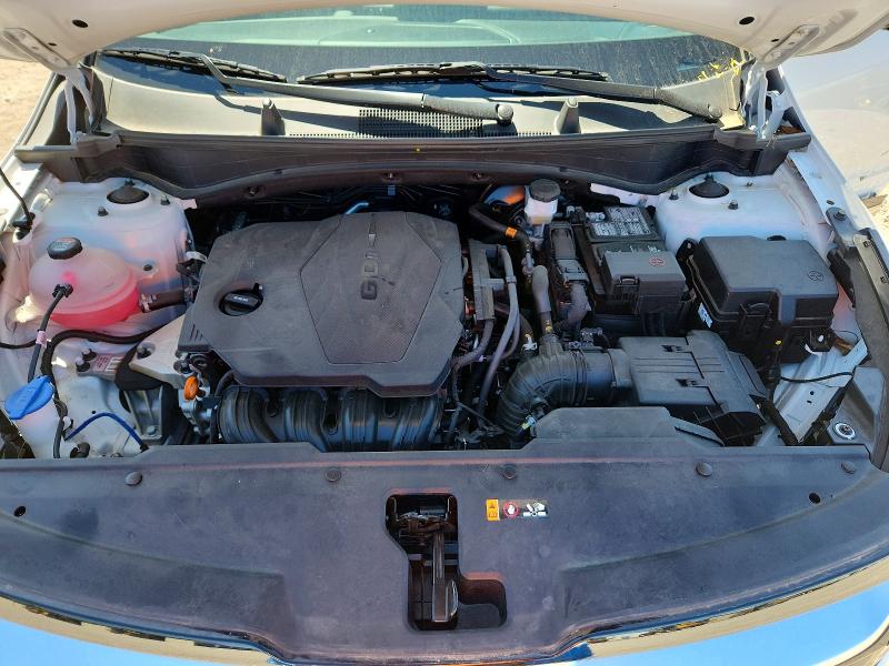 Продаж на аукціоні авто 2024 Kia Sportage, vin: 5XYK53DF3RG182097, номер лоту: 52899336