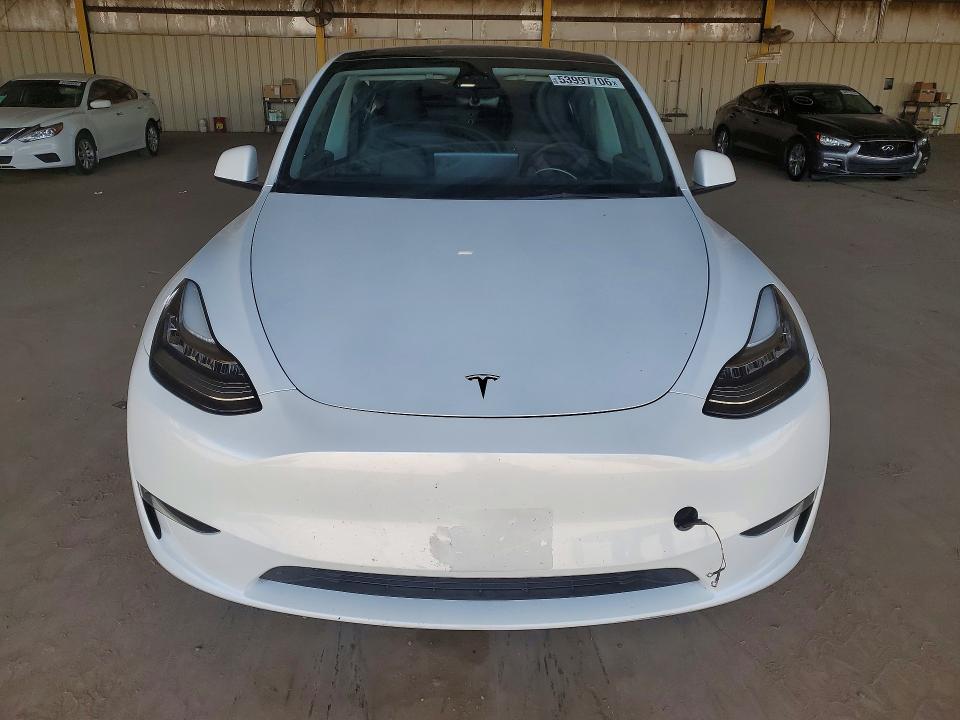 Продаж на аукціоні авто 2023 Tesla Model Y, vin: 7SAYGDEE4PA030110, номер лоту: 53997706