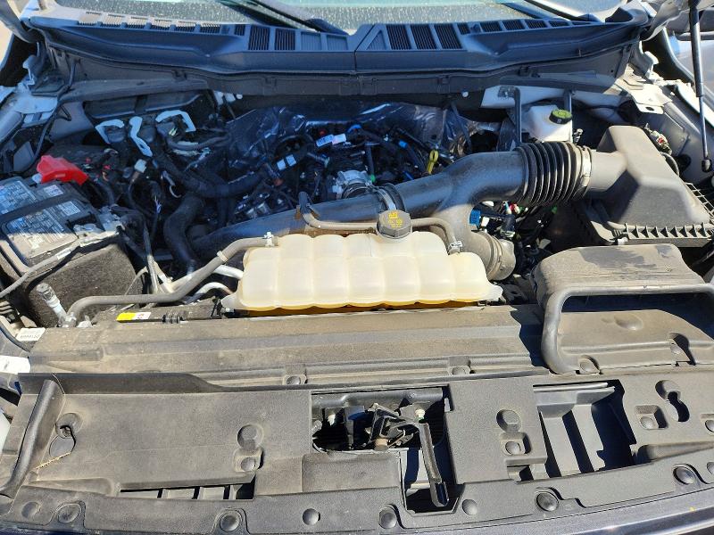 Продаж на аукціоні авто 2025 Ford F150, vin: 1FTEW2LP0SKD97743, номер лоту: 53066996