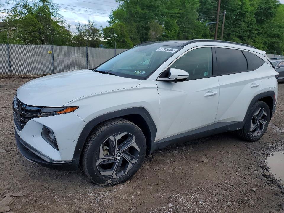 2024 Hyundai Tucson მანქანა იყიდება აუქციონზე, vin: KM8JECD11RU200395, აუქციონის ნომერი: 53383956