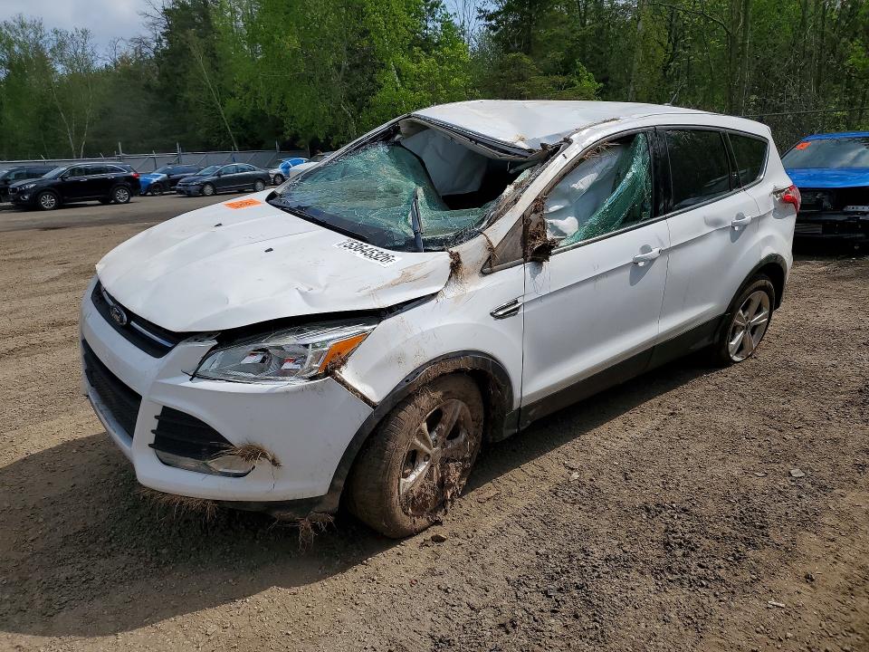 53645326 :رقم المزاد ، 1FMCU0GXXGUA33249 vin ، 2016 Ford Escape مزاد بيع