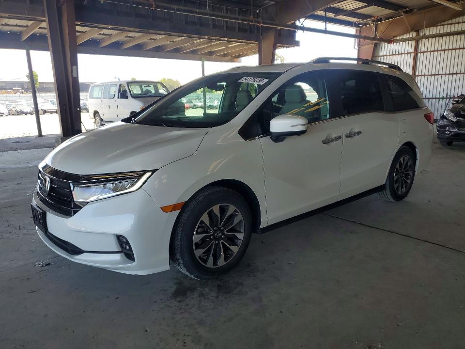 Auction sale of the 2021 Honda Odyssey, vin: 5FNRL6H79MB016501, lot number: 54175236