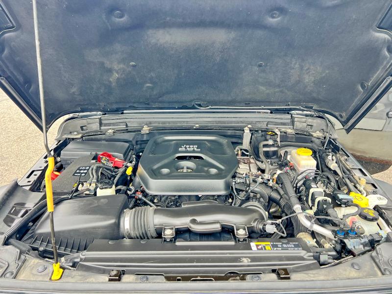 Auction sale of the 2020 Jeep Wrangler Unlimited, vin: 1C4HJXDN1LW204256, lot number: 55099366