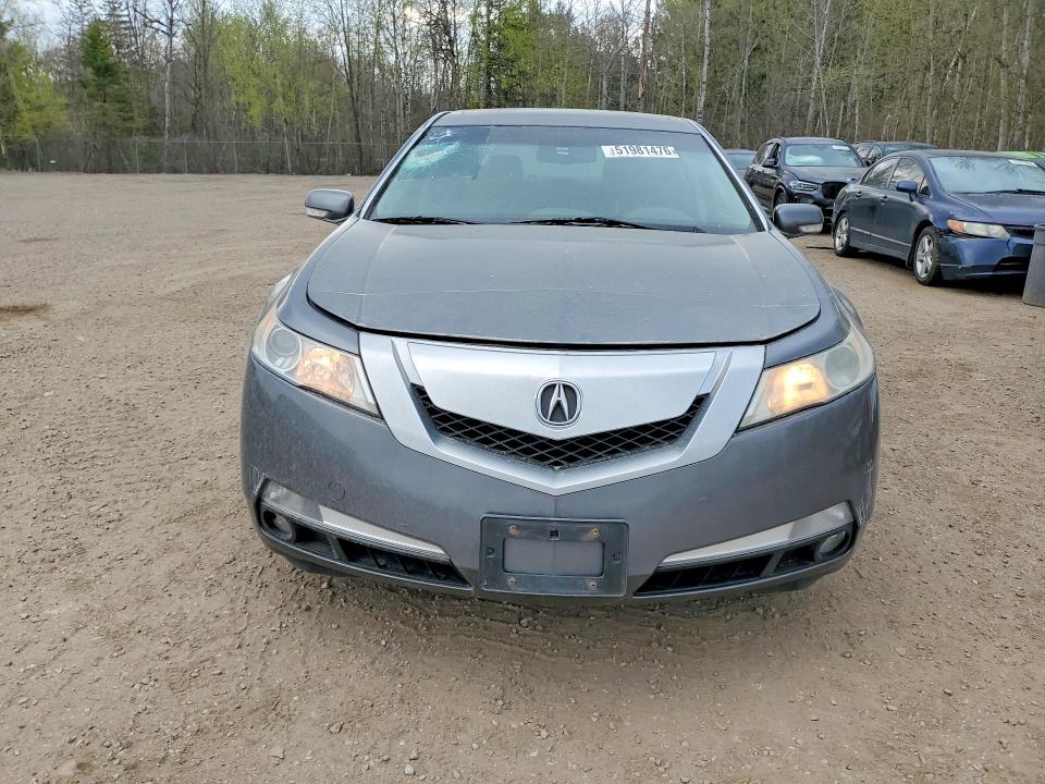 Продажа на аукционе авто 2009 Acura Tl, vin: 19UUA86529A801232, номер лота: 51981476