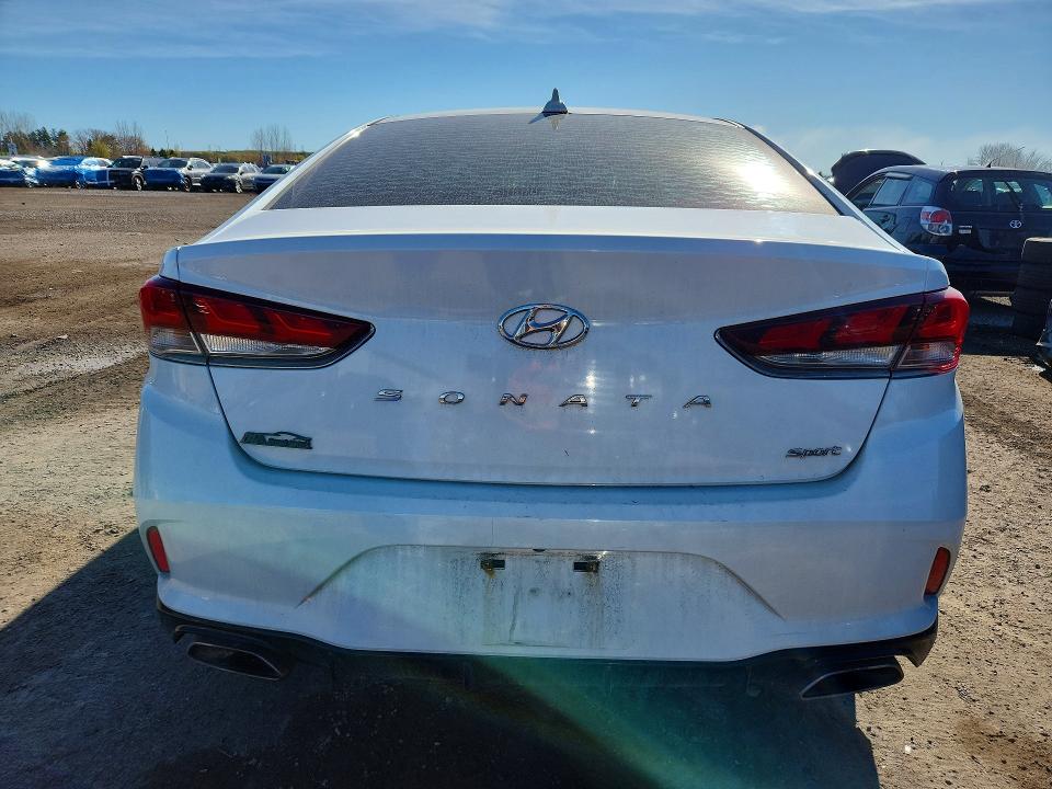 53572106 :رقم المزاد ، 5NPE34AF5KH748255 vin ، 2019 Hyundai Sonata مزاد بيع
