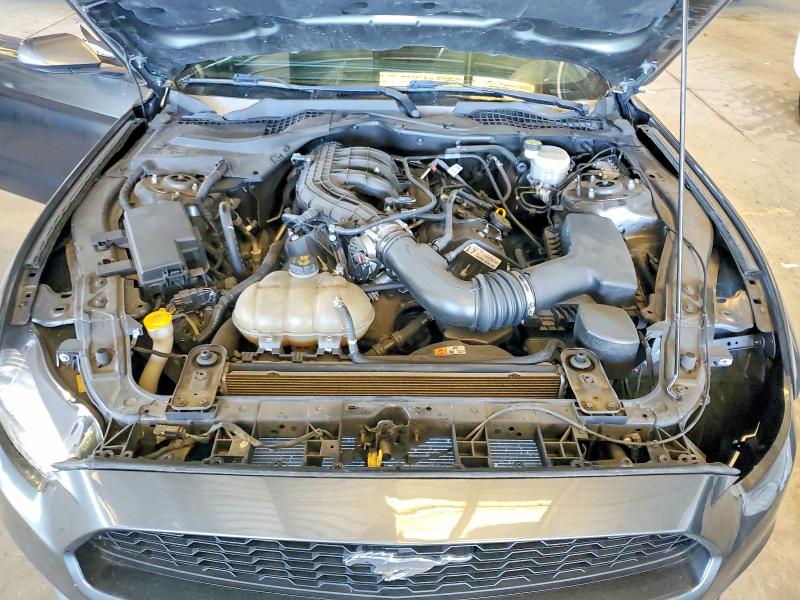 53081636 :رقم المزاد ، 1FA6P8AM6H5310051 vin ، 2017 Ford Mustang مزاد بيع