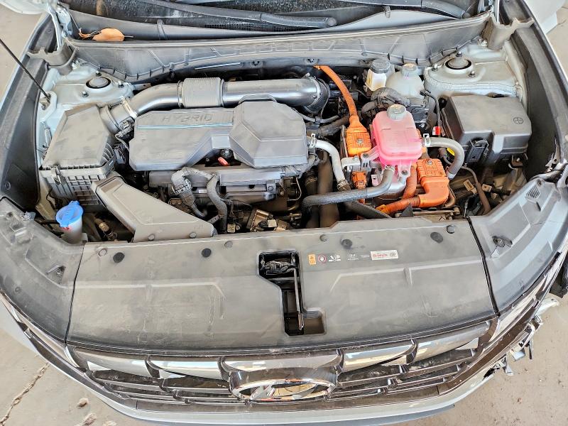 Продаж на аукціоні авто 2024 Hyundai Tucson, vin: KM8JCCD13RU161668, номер лоту: 54180396