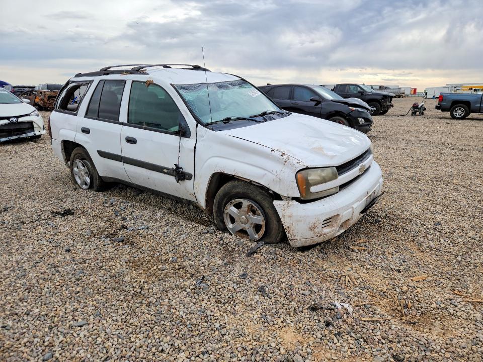 Aukcja sprzedaży 2003 Chevrolet Trailblazer, vin: 1GNDT13S832231028, numer aukcji: 54560876