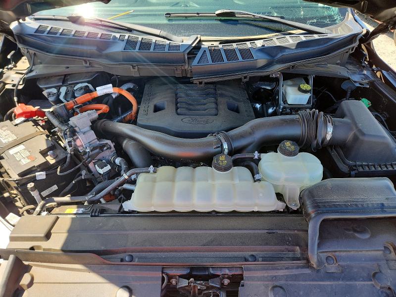 52343646 :رقم المزاد ، 1FTFW1ED5MFC58477 vin ، 2021 Ford F150 مزاد بيع