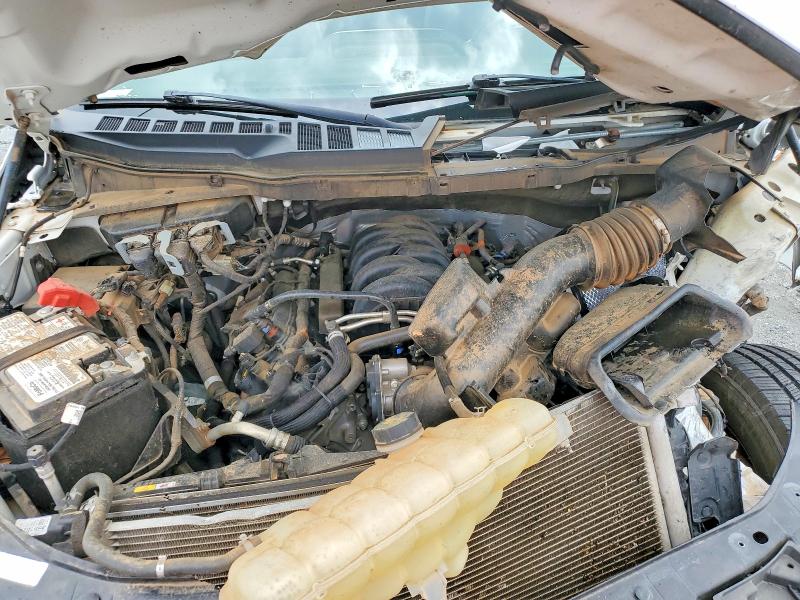 2023 Ford F-150 მანქანა იყიდება აუქციონზე, vin: 1FTMF1C50PKG09505, აუქციონის ნომერი: 52811666