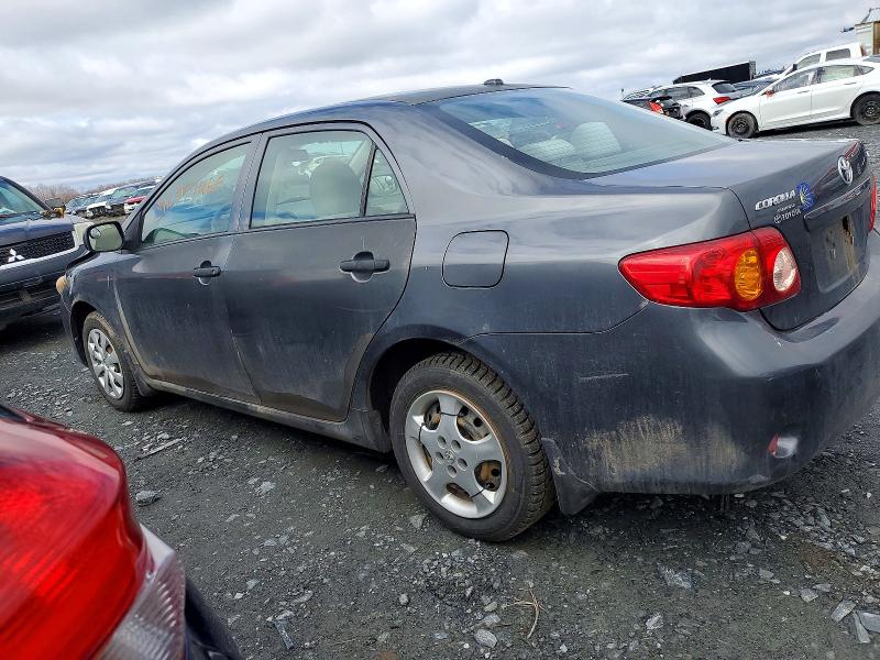 Продаж на аукціоні авто 2009 Toyota Corolla, vin: 2T1BU40E89C024503, номер лоту: 51637746