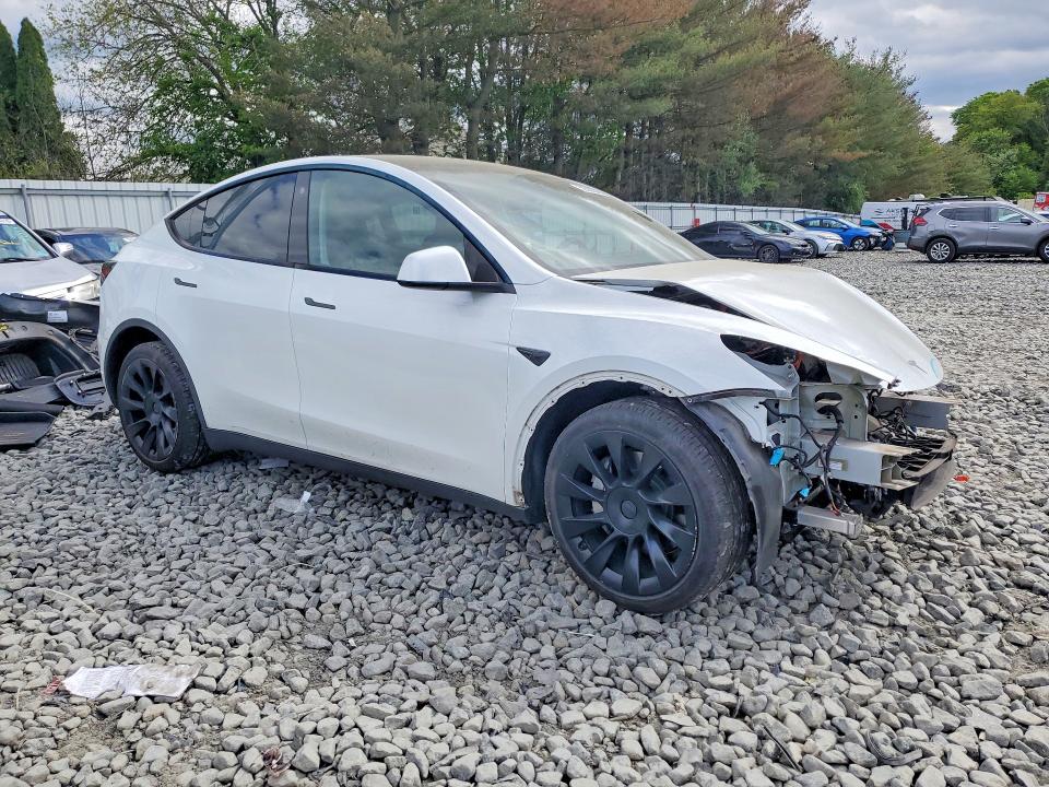 Продажа на аукционе авто 2023 Tesla Model Y, vin: 7SAYGDEE2PA052350, номер лота: 53530346