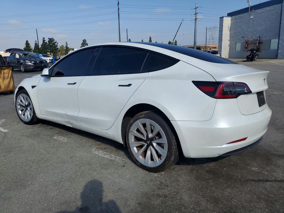 53589846 :رقم المزاد ، 5YJ3E1EA3PF552657 vin ، 2023 Tesla Model 3 مزاد بيع