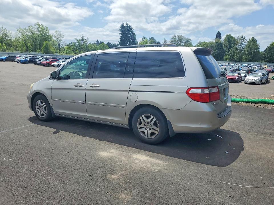 55731326 :رقم المزاد ، 5FNRL38487B454242 vin ، 2007 Honda Odyssey مزاد بيع