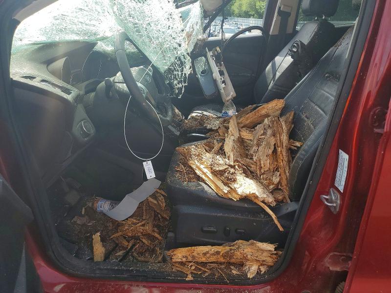 54270446 :رقم المزاد ، 1FMCU0J99EUD51421 vin ، 2014 Ford Escape مزاد بيع