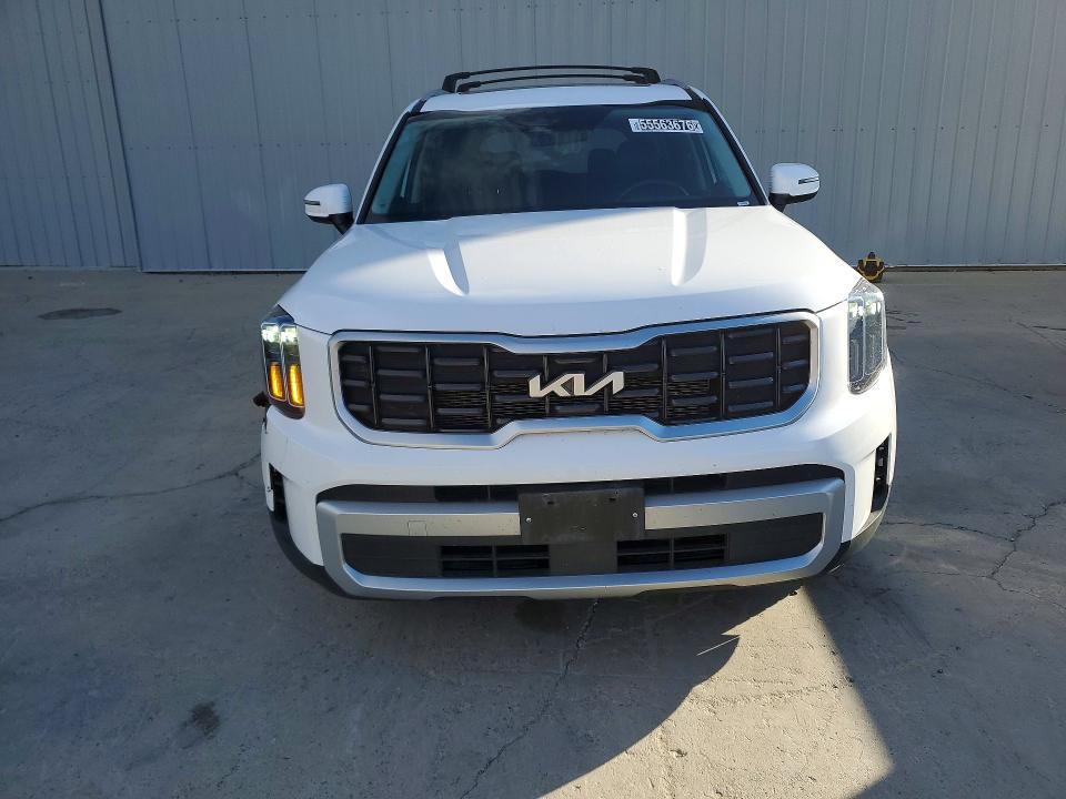 Продажа на аукционе авто 2025 Kia Telluride, vin: 5XYP6DGC6SG583580, номер лота: 55563676