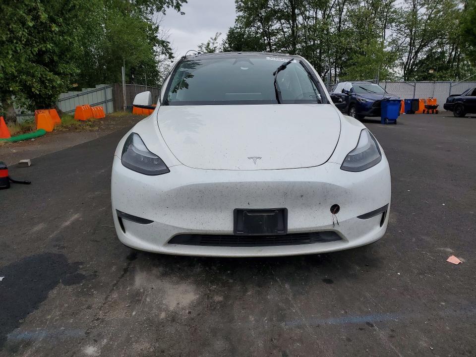 Aukcja sprzedaży 2023 Tesla Model Y, vin: 7SAYGDEE3PF909035, numer aukcji: 52550286