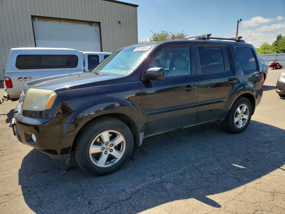 Auction sale of the 2009 Honda Pilot, vin: 5FNYF38519B020906, lot number: 55116696