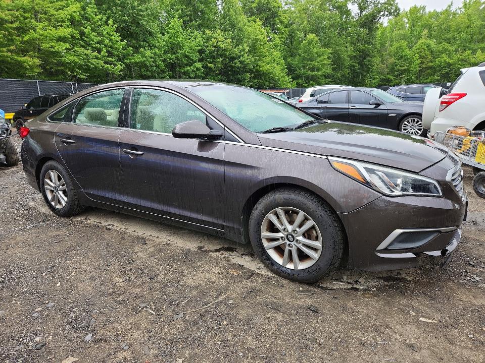 53266236 :رقم المزاد ، 5NPE24AF9HH563900 vin ، 2017 Hyundai Sonata مزاد بيع