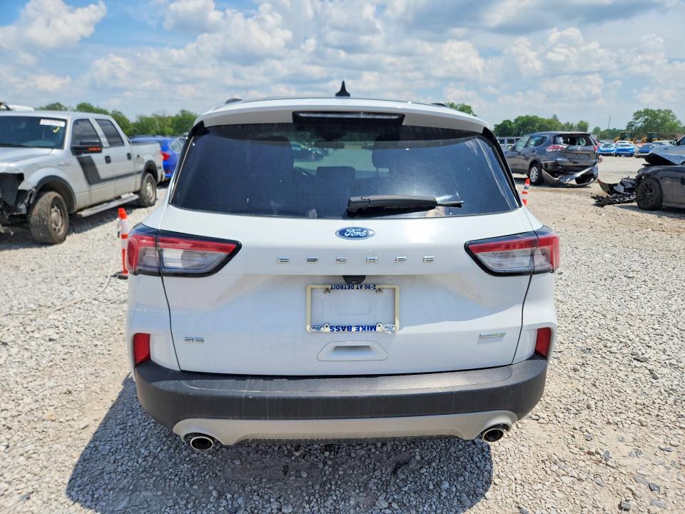 Продаж на аукціоні авто 2020 Ford Escape, vin: 1FMCU0G69LUB29522, номер лоту: 54382686