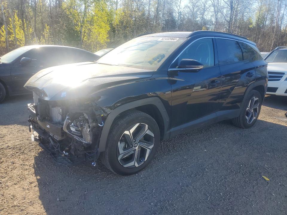 Продаж на аукціоні авто 2024 Hyundai Tucson, vin: KM8JDDD29RU177739, номер лоту: 52482966