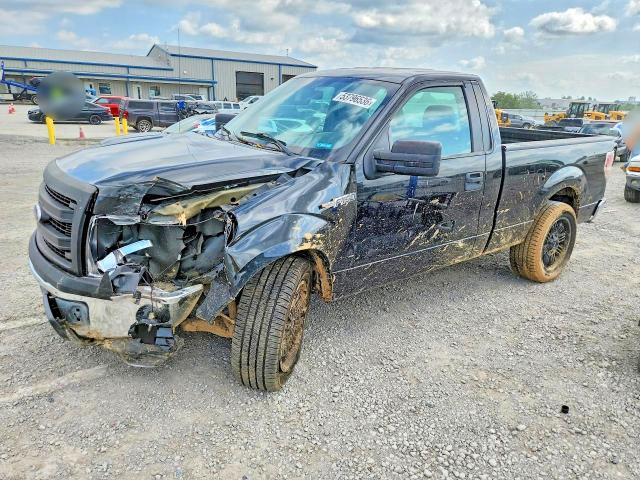 Aukcja sprzedaży 2013 Ford F150, vin: 1FTMF1CM6DFD99049, numer aukcji: 53796536