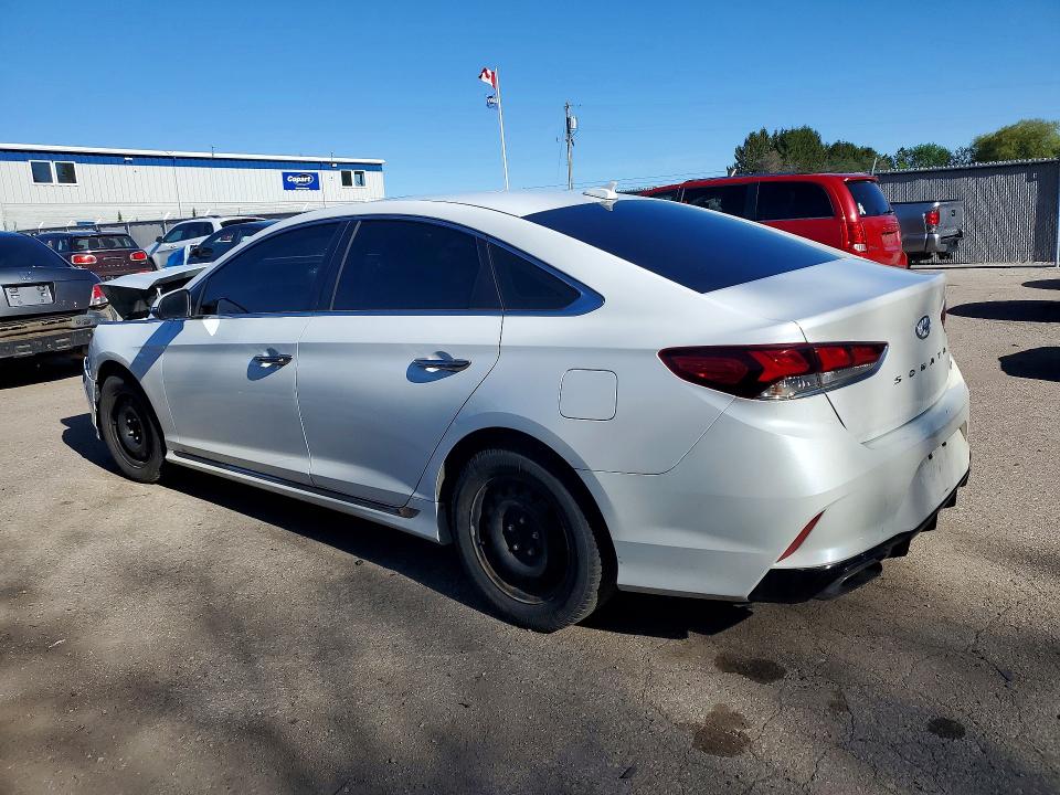 Продаж на аукціоні авто 2019 Hyundai Sonata, vin: 5NPE34AF7KH803921, номер лоту: 53109876