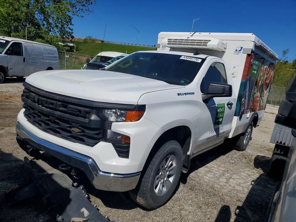 Aukcja sprzedaży 2025 Chev Silverado, vin: 3GCNKAED0SG226359, numer aukcji: 53099726