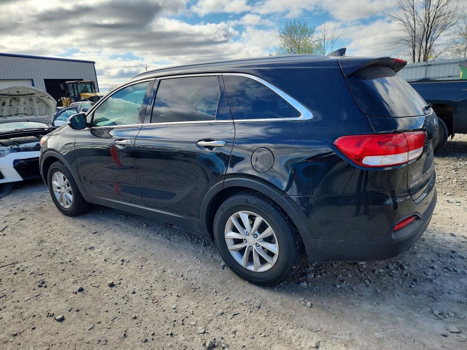 53393116 :رقم المزاد ، 5XYPGDA56GG005672 vin ، 2016 Kia Sorento مزاد بيع