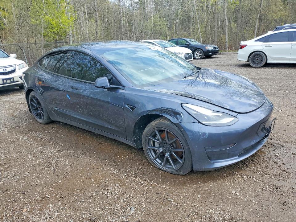 2021 Tesla Model 3 მანქანა იყიდება აუქციონზე, vin: 5YJ3E1EA4MF095465, აუქციონის ნომერი: 50635256