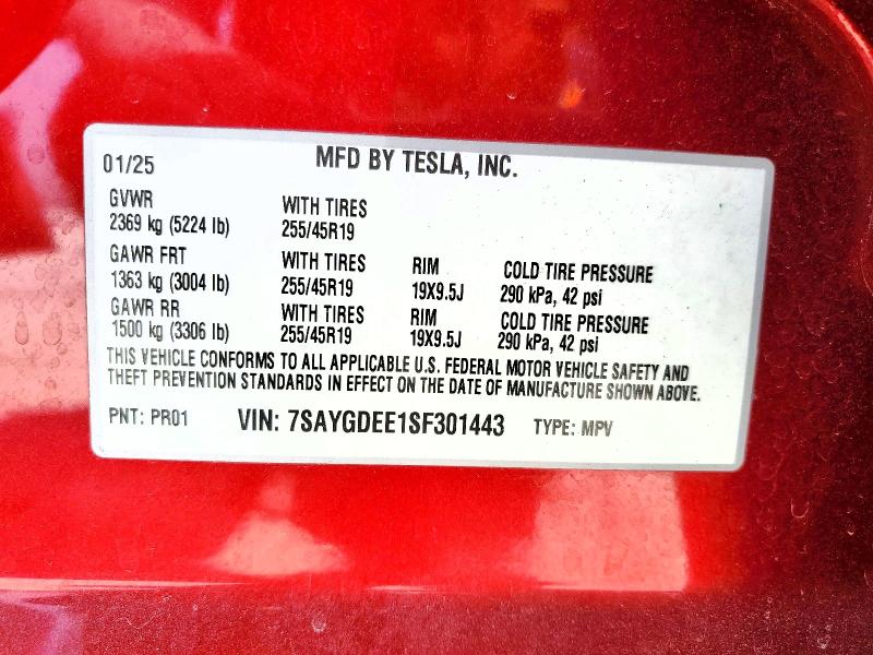 Aukcja sprzedaży 2025 Tesla Model Y, vin: 7SAYGDEE1SF301443, numer aukcji: 53270946