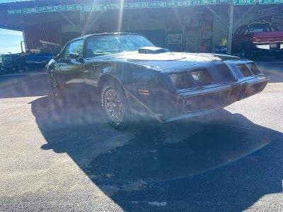Продаж на аукціоні авто 1981 Pontiac Firebird, vin: 1G2AW87W5BL105229, номер лоту: 52780396