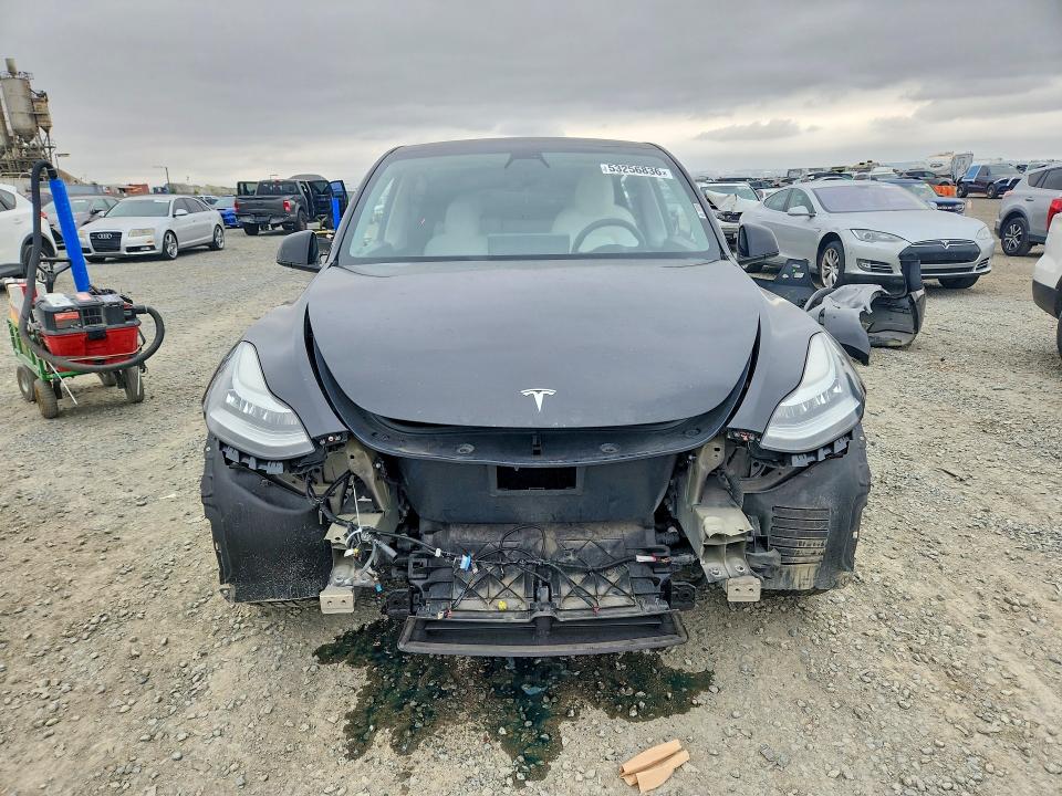 2022 Tesla Model Y მანქანა იყიდება აუქციონზე, vin: 7SAYGDEE9NF351334, აუქციონის ნომერი: 53256836