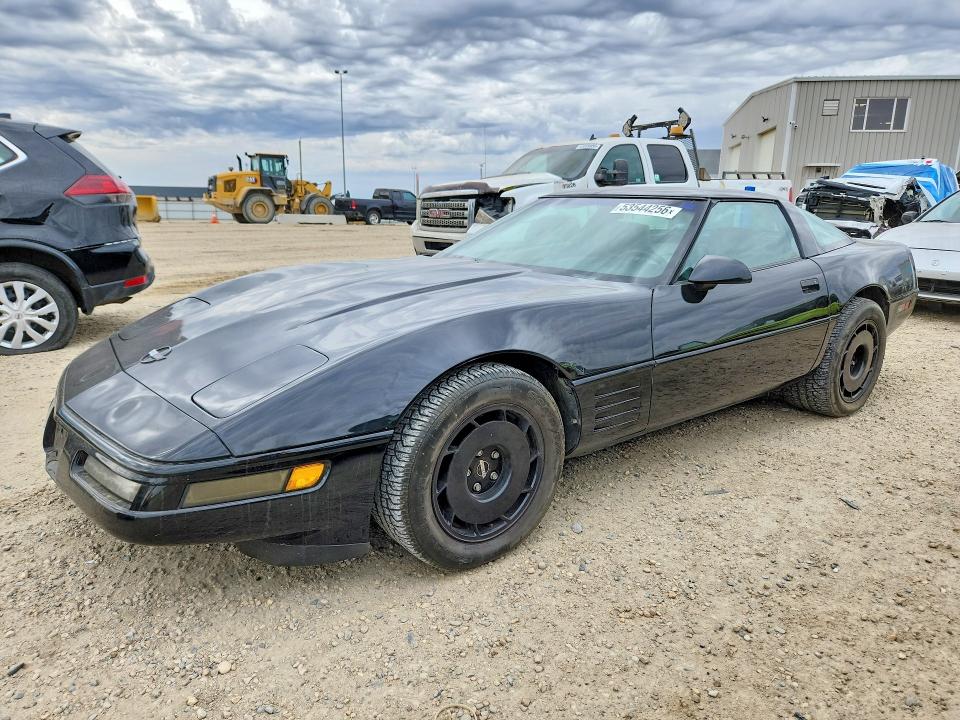 Auction sale of the 1991 Chevrolet Corvette, vin: 1G1YY2389M5101399, lot number: 53544256