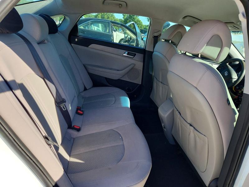 53455966 :رقم المزاد ، 5NPE24AFXGH364191 vin ، 2016 Hyundai Sonata مزاد بيع